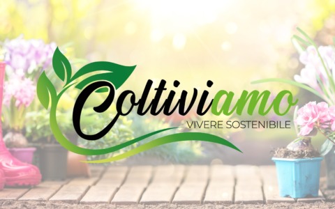 Coltiviamo – 21-06-2026 Girasole, lavanda e miele